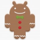 OS Android 2.3 Gingerbread
