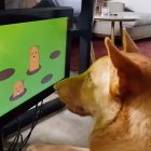 Na svete je prvá herná konzola určená psom 