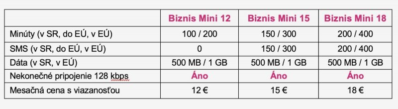 Telekom Biznis Mini