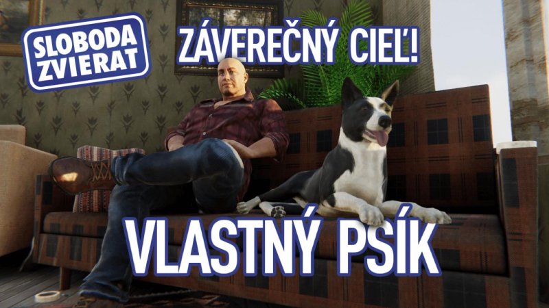Gangsterská hra Vivat Slovakia vám umožní adoptovať skutočného psíka